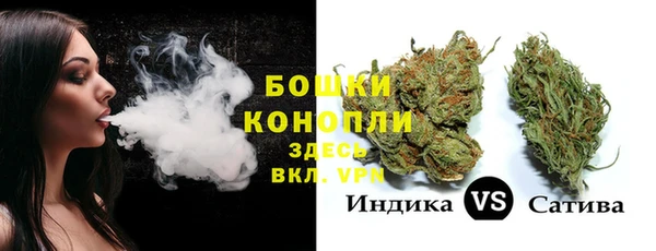 ГАЛЛЮЦИНОГЕННЫЕ ГРИБЫ Алексеевка