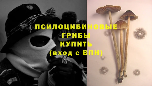 ГАЛЛЮЦИНОГЕННЫЕ ГРИБЫ Алексеевка