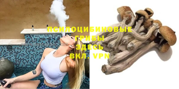 Альфа ПВП Алзамай