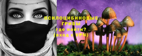 Альфа ПВП Алзамай