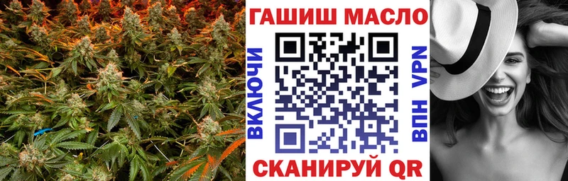 продажа наркотиков  Шатура  маркетплейс какой сайт  ТГК гашишное масло 